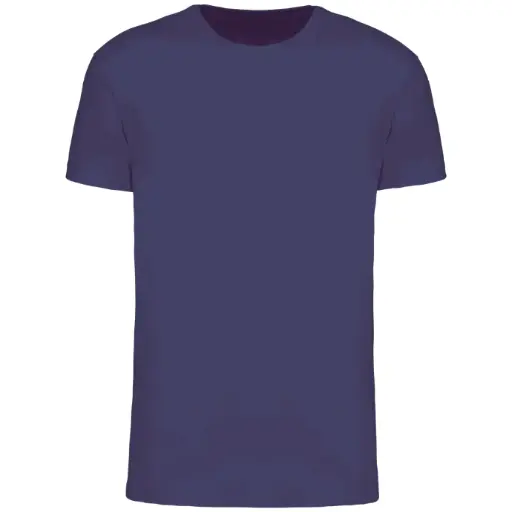 T-shirt Bio homme manches courtes 150 IC - K3025IC